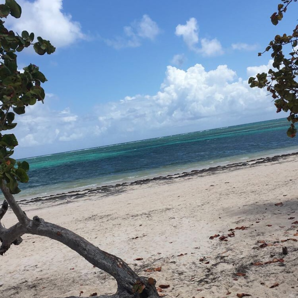 Meet your Posher, Tara